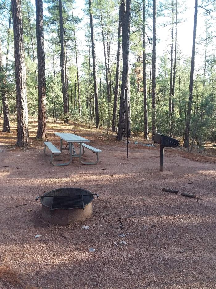 Pine Loop Site 01 with a picnic table, grill, lantern pole and campfire ring