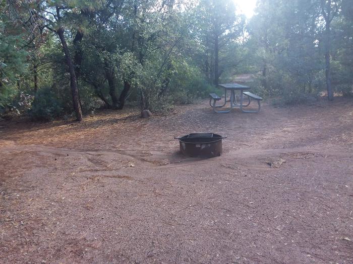 Houston Mesa, Horse Camp site #22 Table and fire pit. Houston Mesa, Horse Camp site #22 