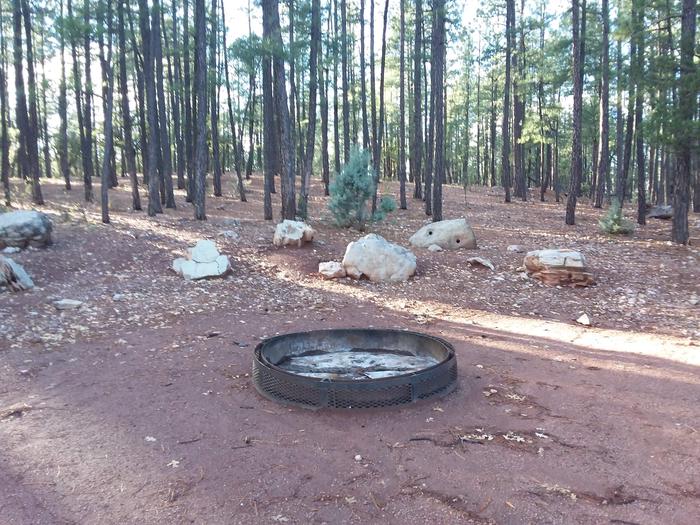 MANZ Loop Group Site 03 Campfire Pit