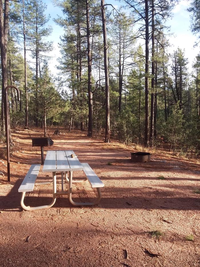 Pine Loop Site 02 with a picnic table, grill, lantern pole and campfire ring