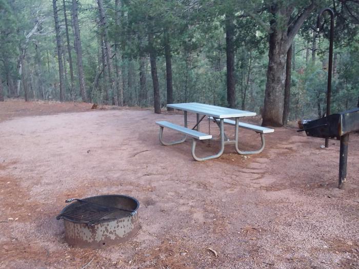 Pine Loop Site 05 with a picnic table, grill and campfire ring