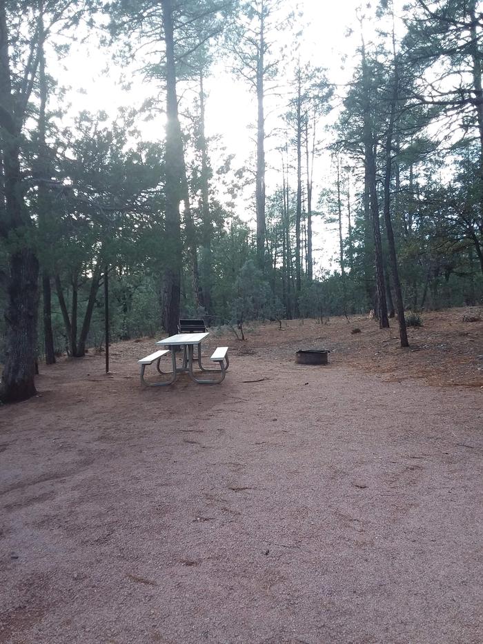 Pine Loop Site 05 with open space for possible tent placement