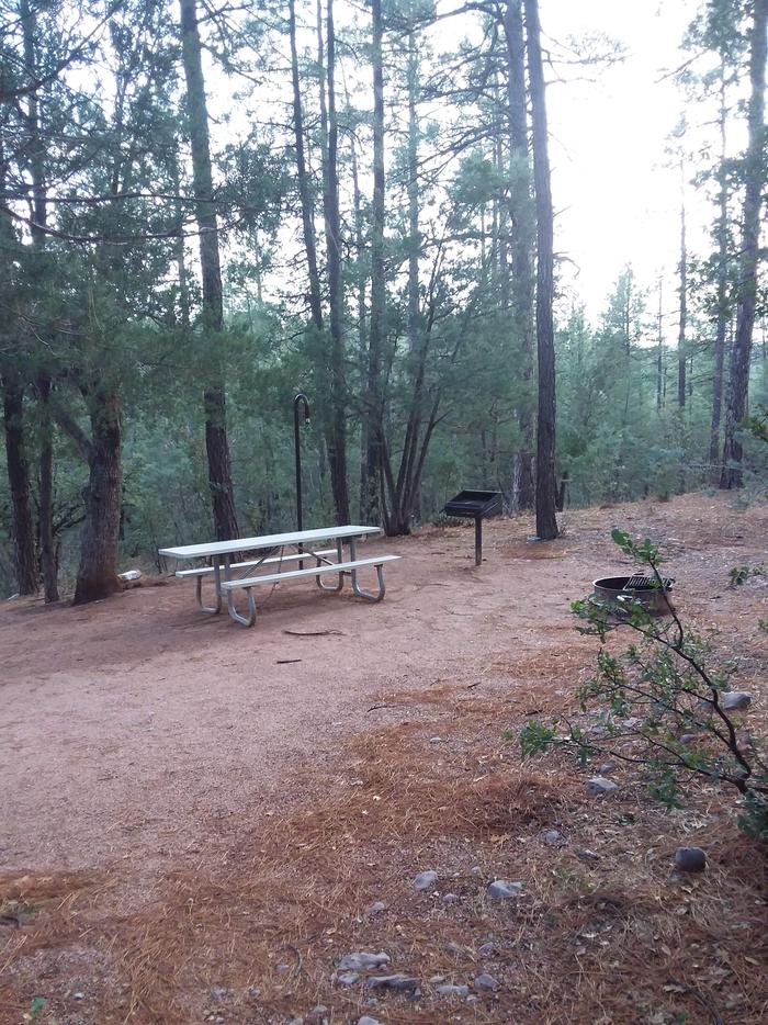 Pine Loop Site 05 with a picnic table, grill and campfire ring