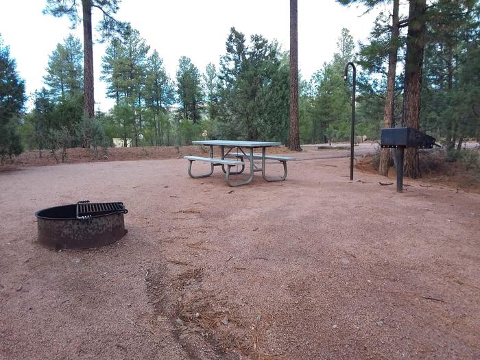 Oak Loop Site 07 with a picnic table, grill, lantern pole and campfire ring