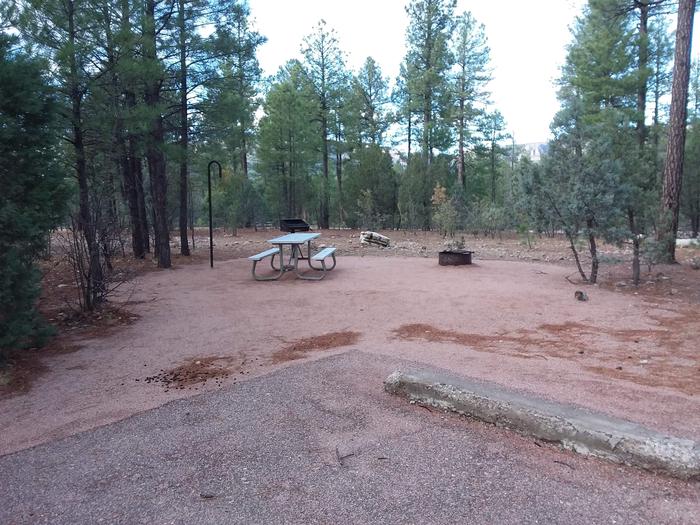 Oak Loop Site 08 with a picnic table, grill, lantern pole, campfire ring and open spaces for possible tent placement