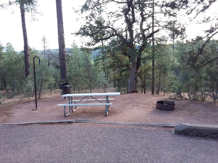 Oak Loop Site 11 view with a picnic table, grill, lantern pole and campfire ring