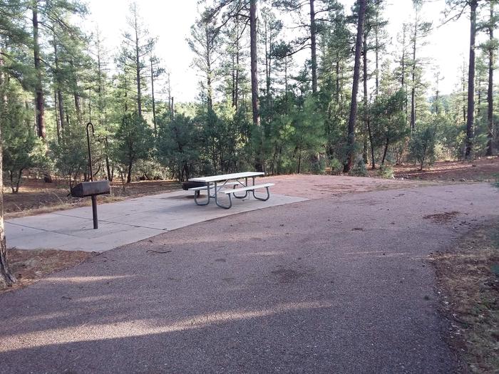 Oak Loop Site 13 handicap-accessible with a picnic table, grill, lantern pole and raised campfire ring all on a paved patio