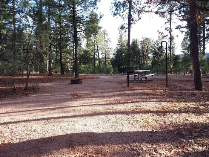 Oak Loop Site 14 partially shaded with a picnic table, grill, lantern pole and campfire ring