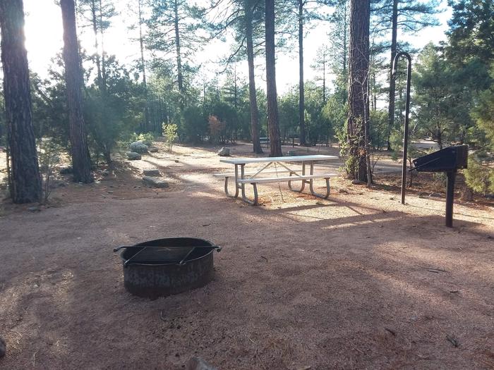 Oak Loop Site 16 partially shaded with a picnic table, grill, lantern pole and campfire ring