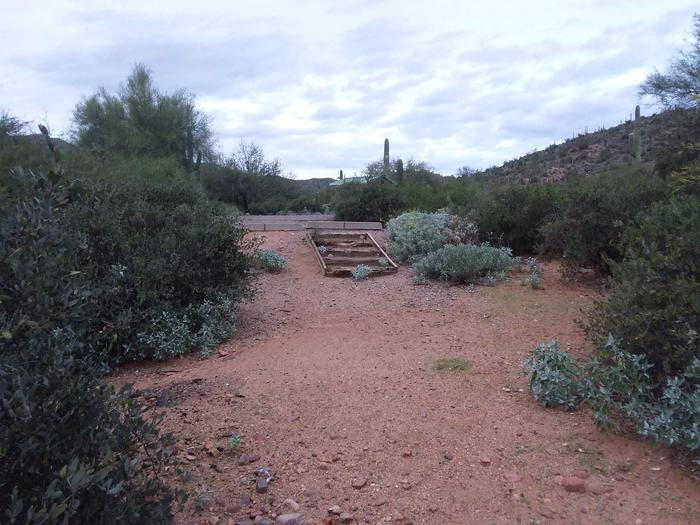 Path to site 15.