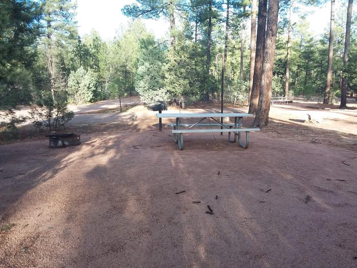 Oak Loop Site 17 with a picnic table, grill, lantern pole and campfire ring