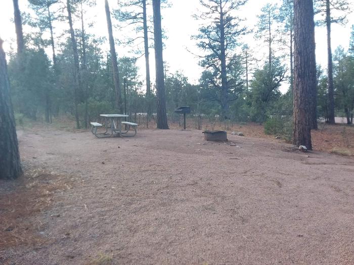 Oak Loop Site 18 with a picnic table, grill, lantern pole and campfire ring as well as open space for possible tent placement