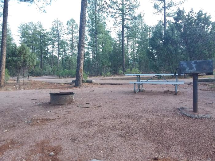 Oak Loop Site 18 with a picnic table, grill, lantern pole and campfire ring