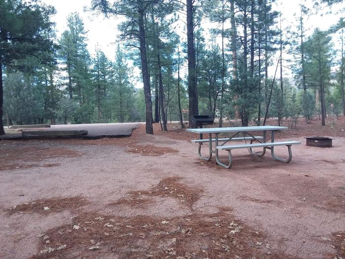 Juniper Loop Site 19 with an open space next to the cooking area for possible tent placement