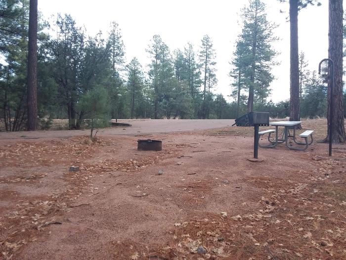 Juniper Loop Site 20 with a picnic table, grill, lantern pole and campfire ring as well as open space for possible tent placement