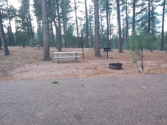 Juniper Loop Site 20 with a picnic table, grill, lantern pole and campfire ring