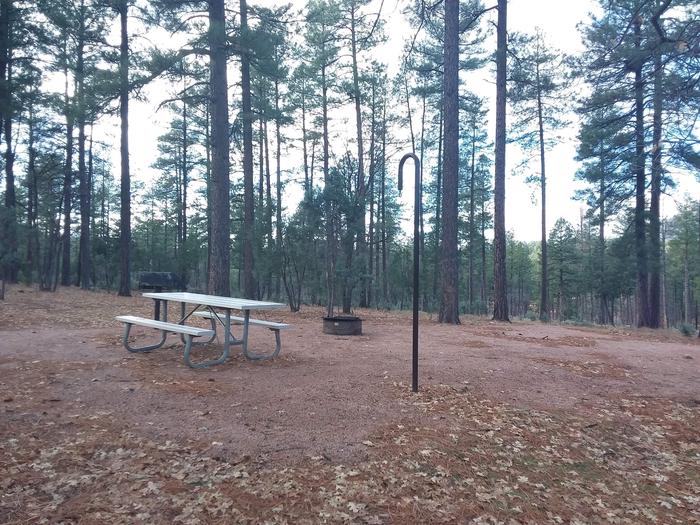 Juniper Loop Site 21 with a picnic table, grill, lantern pole and campfire ring as well as open space for possible tent placement