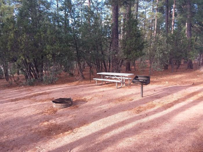 Juniper Loop Site 24 with a picnic table, grill, lantern pole and campfire ring