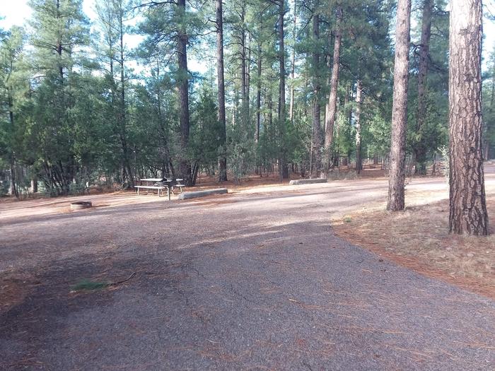 Juniper Loop Site 24 with large paved parking