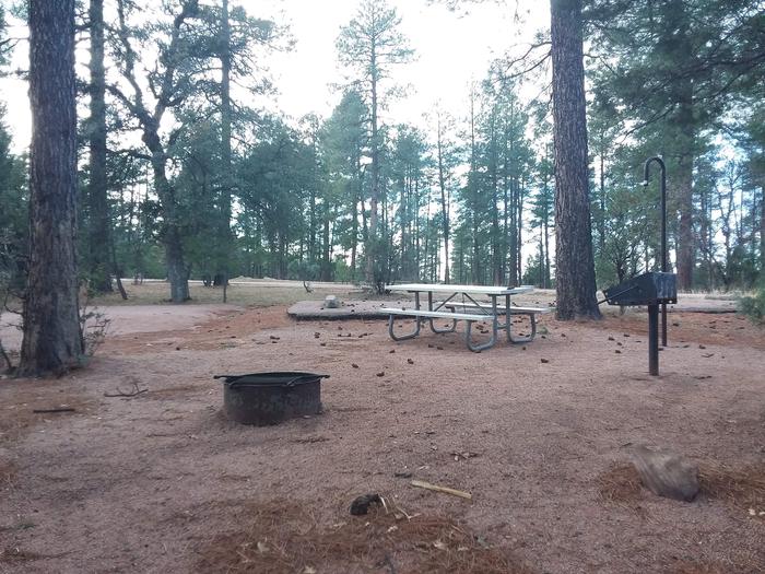 Juniper Loop Site 28 with a picnic table, grill, lantern pole and campfire ring