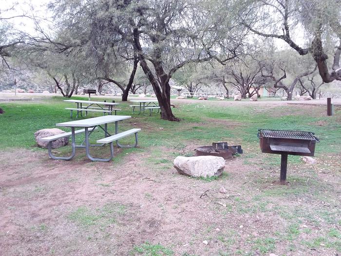 Site 31C picnic table, fire ring, and camp grill.
