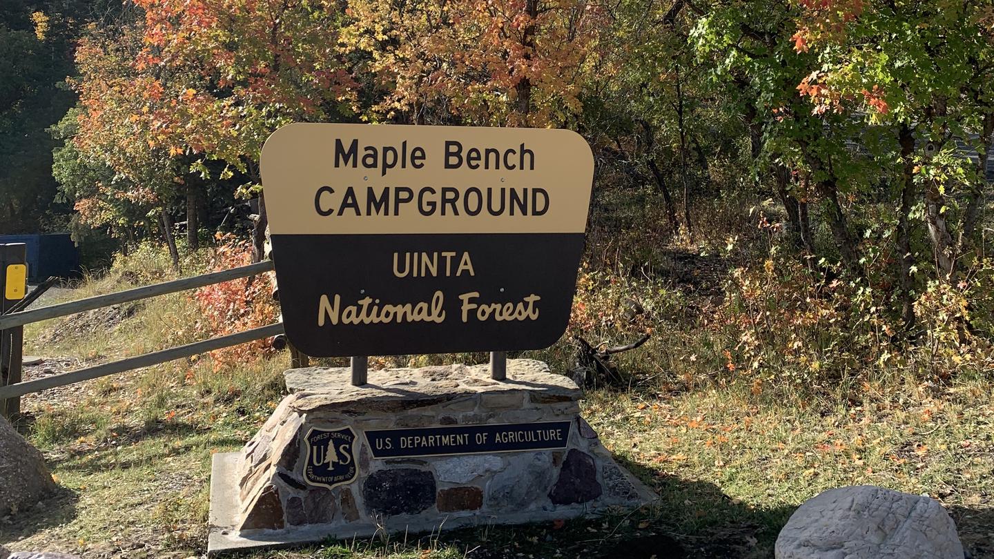Maple Bench Campground
