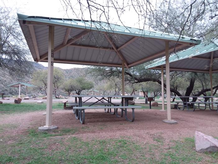 Site 31D with picnic tables, a fire ring, camp grill, shade structure, and parking.