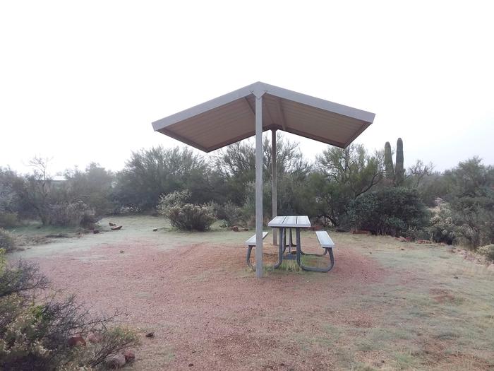 Windy Hill Campground Coati Site 028
