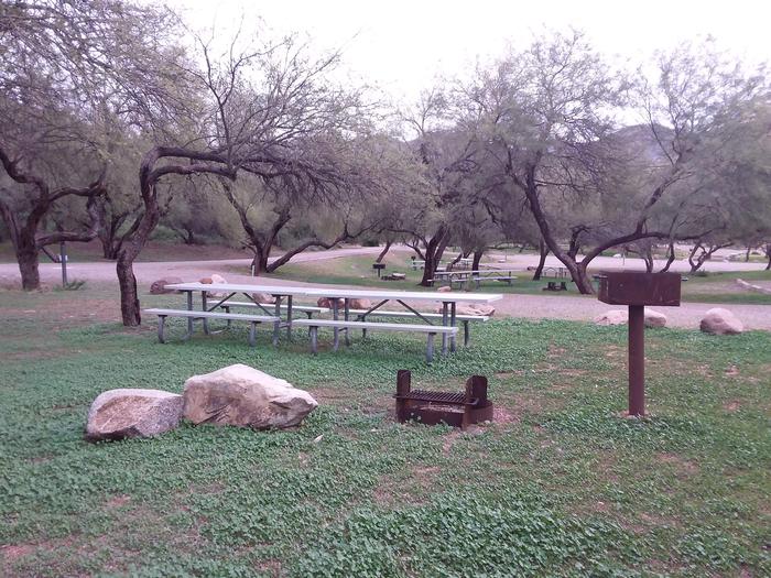 Site 32 with picnic tables, a fire ring, and camp grill.
