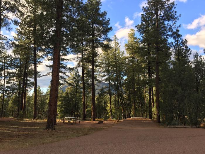 Sharp Creek Campground surrounded by the Tonto National Forest