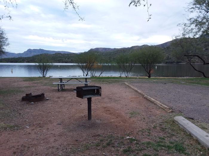 Site 46 with a picnic table, camp grill, fire ring, and parking.