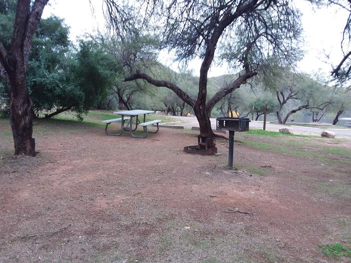 Campsite 47 at Burnt Corral Campground with a picnic table, fire ring, camp grill, and parking.