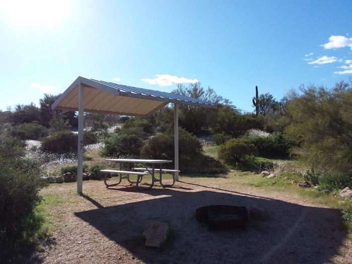 Windy Hill Campground Coati Site 047: shade structure, table, fire pitWindy Hill Campground Coati Site 047