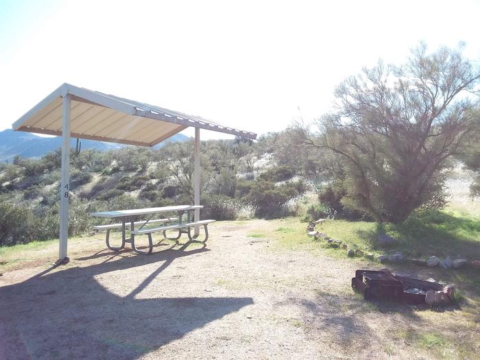 Windy Hill Campground Coati Site 048: shade structure, table, fire pitWindy Hill Campground Coati Site 048