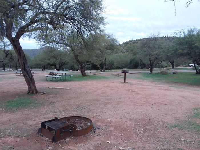 Site 48 with a picnic table, fire ring, camp grill, and parking.
