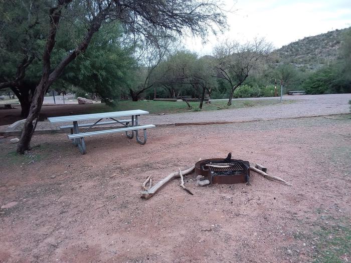 Site 56 with a picnic table, fire ring, and parking.