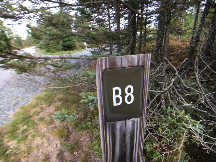 A photo of Site B08 of Loop B-Loop at Schoodic Woods Campground with Picnic Table, Electricity Hookup, Fire Pit, Water Hookup