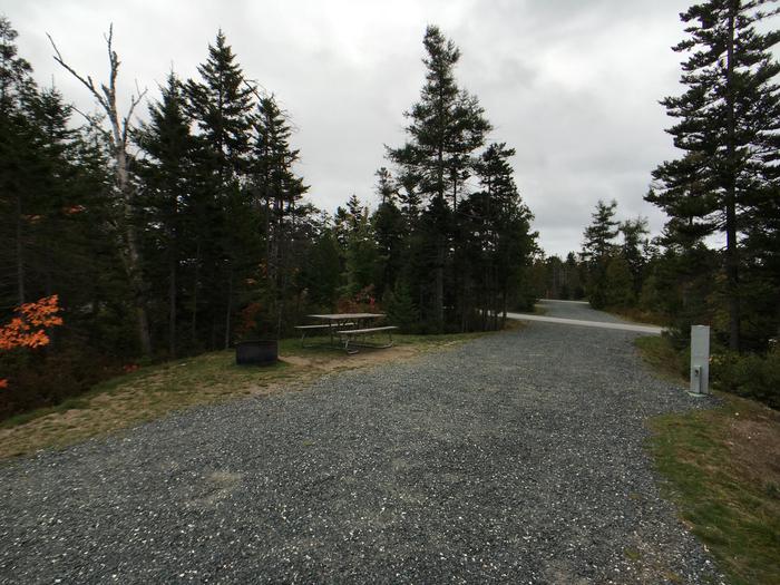A photo of Site B10 of Loop B-Loop at Schoodic Woods Campground with Picnic Table, Electricity Hookup, Fire Pit, Water Hookup