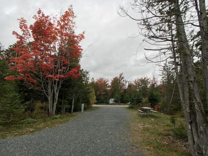 A photo of Site B12 of Loop B-Loop at Schoodic Woods Campground with Picnic Table, Electricity Hookup, Fire Pit, Water Hookup