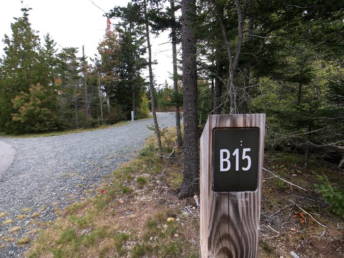 A photo of Site B15 of Loop B-Loop at Schoodic Woods Campground with Picnic Table, Electricity Hookup, Fire Pit, Water Hookup