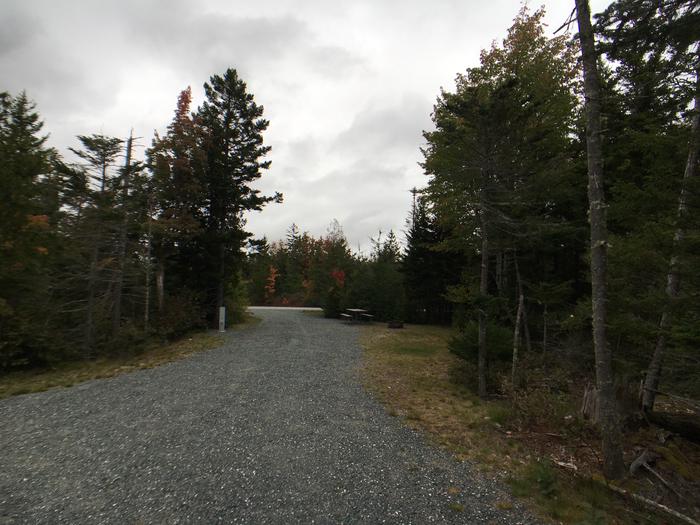 A photo of Site B15 of Loop B-Loop at Schoodic Woods Campground with Picnic Table, Electricity Hookup, Fire Pit, Water Hookup
