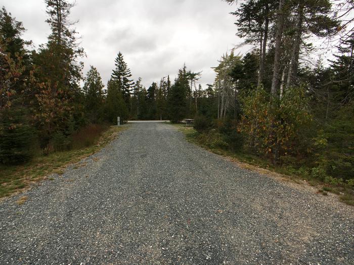 A photo of Site B20 of Loop B-Loop at Schoodic Woods Campground with Picnic Table, Electricity Hookup, Fire Pit, Water Hookup