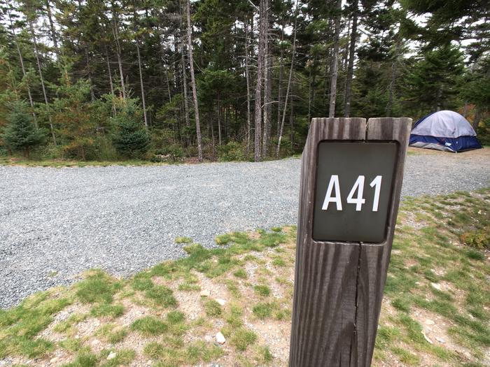 A photo of Site A41 of Loop A-Loop at Schoodic Woods Campground with Picnic Table, Electricity Hookup, Fire Pit