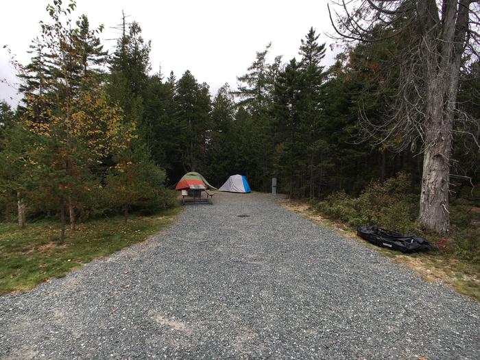 A photo of Site A47 of Loop A-Loop at Schoodic Woods Campground with Picnic Table, Electricity Hookup, Fire Pit