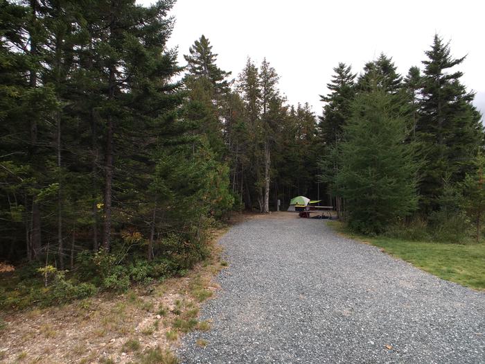 A photo of Site A48 of Loop A-Loop at Schoodic Woods Campground with Picnic Table, Electricity Hookup, Fire Pit