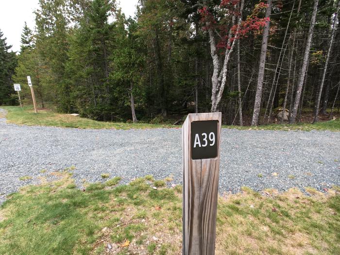 A photo of Site A39 of Loop A-Loop at Schoodic Woods Campground with Picnic Table, Electricity Hookup, Fire Pit
