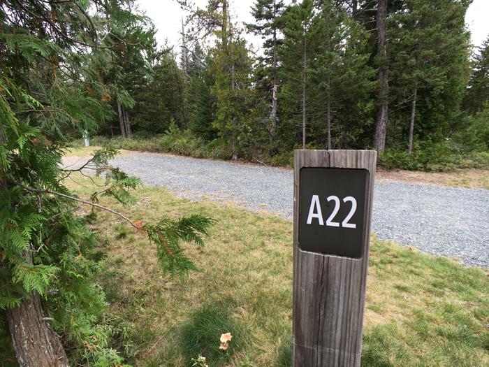 A photo of Site A22 of Loop A-Loop at Schoodic Woods Campground with Picnic Table, Electricity Hookup, Fire Pit