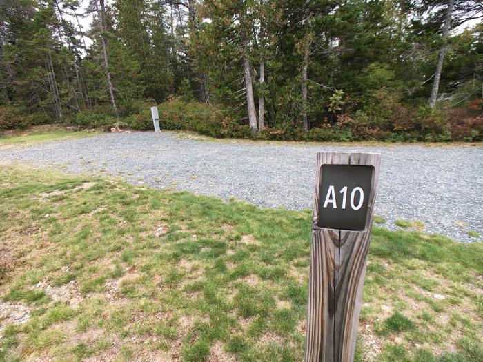 A photo of Site A10 of Loop A-Loop at Schoodic Woods Campground with Picnic Table, Electricity Hookup, Fire Pit