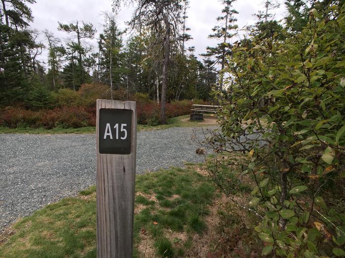 A photo of Site A15 of Loop A-Loop at Schoodic Woods Campground with Picnic Table, Electricity Hookup, Fire Pit
