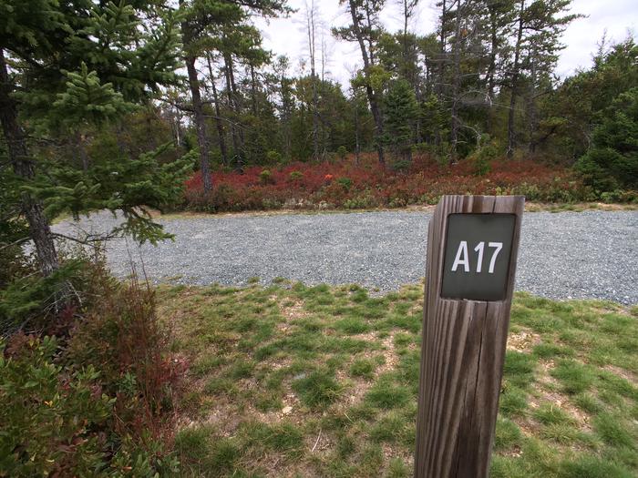 A photo of Site A17 of Loop A-Loop at Schoodic Woods Campground with Picnic Table, Electricity Hookup, Fire Pit